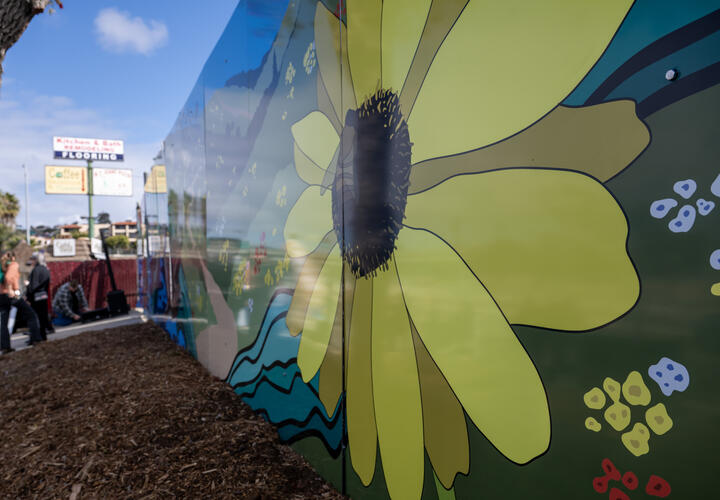 A close-up image of a yellow sunflower, part of the new mural.