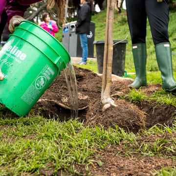 SDG&E Tree Planting 