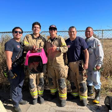 Troubleshooter Raleigh Nauta Teams Up with CAL FIRE to Rescue Trapped Kitten 