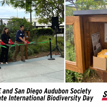 SDG&E and San Diego Audubon Society Celebrate International Biodiversity Day