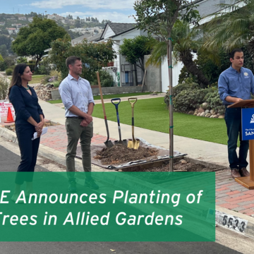 SDG&E Announces Planting of 300 Trees in Allied Gardens