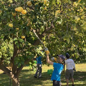 Environmental All-Stars Scale Up Efforts to Fight Food Insecurity  