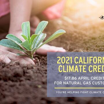 SDG&E Customers To Receive Bill Credit In April, August & September