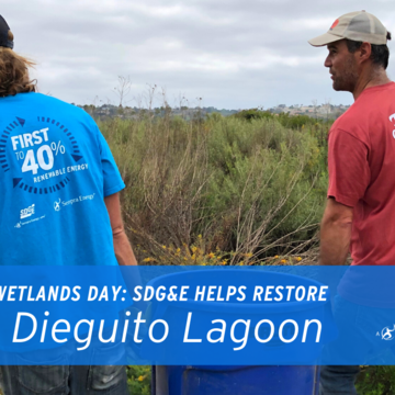 World Wetlands Day: SDG&E Helps Restore San Dieguito Lagoon 