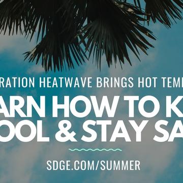 Keeping Cool and Safe as Heatwave Brings High Temperatures