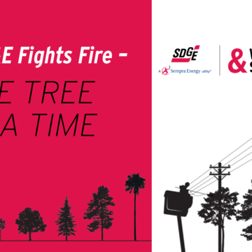SDG&E Fights Fire: One Tree at a Time