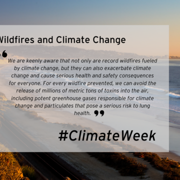 Day 5 of Climate Week 2020: Wildfires and Climate Change 