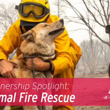 Partnership Spotlight: Animal Fire Rescue