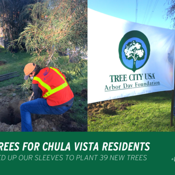 More Trees for Chula Vista Residents