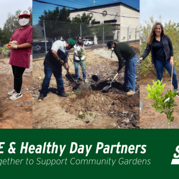 SDG&E & Healthy Day Partners Work Together to Support Community Gardens  