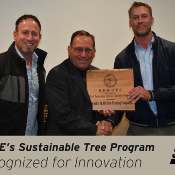 SDG&E’s Sustainable Tree Program Recognized for Innovation