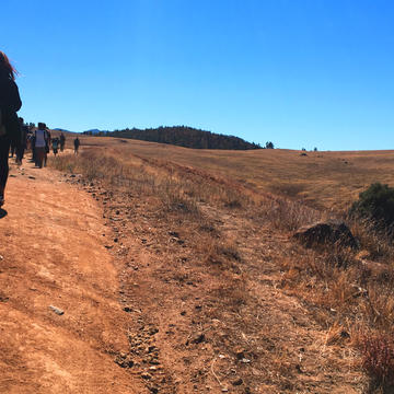 Students on Micro Climate to Macro Climates activity