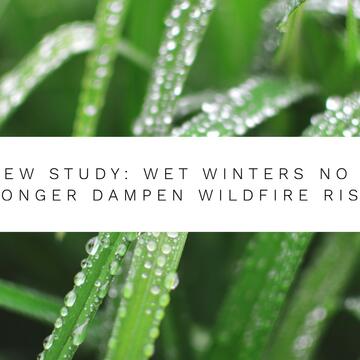 Grass with raindrops on it and text