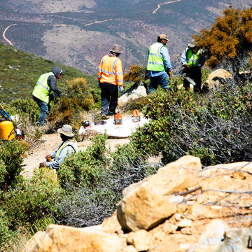 Wildfire Fuels Management