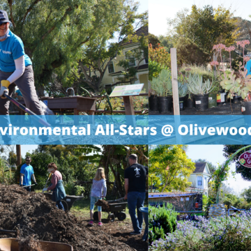 SDG&E Volunteers Assist with Expansion of Olivewood Gardens, Supporting Community Nutrition Education