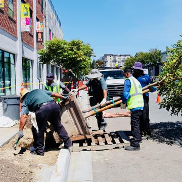Grow Urban Tree Planting