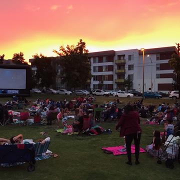 Movie in the Park