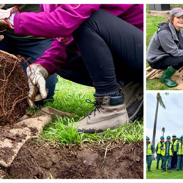 SDG&E Employees Help Plant Trees in Balboa Park 