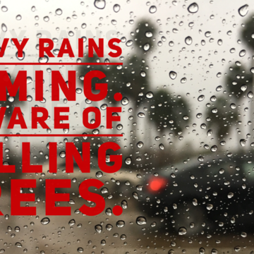 Rain falling on a street with car traffic and trees in the background