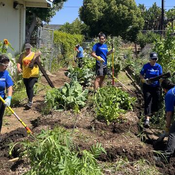 Volunteers participate in a Garden 31 project, surrounded by foliage and plants.