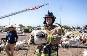 A firefighter, smiling, holds a goat