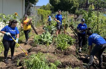 Volunteers participate in a Garden 31 project, surrounded by foliage and plants.