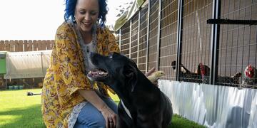 A woman with blue hair and a yellow, floral shirt pets a dog with a chicken coup in the background