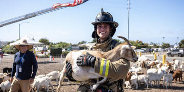 A firefighter, smiling, holds a goat